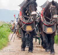 fileadmin/roha/images_galerie/brauchtum/Leonhardiritt/Holzhausen_01/BR-PFRI-HOLZ-2015-0061-D-roha-Brauchtum-Pferdeumritt-Holzhausen-Teisendorf-Leonhardiritt-Gespann.png