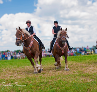 fileadmin/roha/images_galerie/brauchtum/Leonhardiritt/Holzhausen_01/Kaltblutfest/BR-PFRI-HOLZ-KALTBL-0013-0-1-D-roha-Brauchtum-Kaltblut-Pferd-Quadrille-Holzhausen-Teisendorf-Reiterin.png