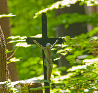 fileadmin/roha/images_galerie/kirche_religion/Teisendorf/KKKM-TEIS-WEG-WALD-0021-D-roha-Wegkreuz-Wald-Teisendorf.png