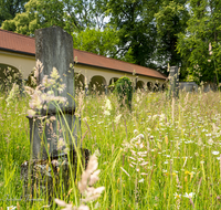 fileadmin/roha/images_galerie/orte_landschaft/Laufen/Klosterfriedhof/LAUF-KAPUZ-KI-0026-01-D-roha-Laufen-Kapuzinerkloster-Friedhof-Blumenwiese.png