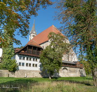 fileadmin/roha/images_galerie/orte_landschaft/Laufen/LAUF-SALZ-UF-WEG-0009-D-roha-Laufen-Uferweg-Salzach-Stiftskirche.png