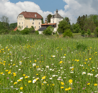 fileadmin/roha/images_galerie/orte_landschaft/Laufen/LAUF-TRIEB-0002-02-D-M-roha-Laufen-Schloss-Triebenbach-Fruehling-Blumenwiese.png