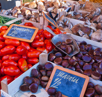 fileadmin/roha/images_galerie/orte_landschaft/Salzburg/Menschen-Gruenmarkt/SA-GRUENMARKT-0055-D-roha-Salzburg-Gruen-Markt-Schranne-Tomate-Kastanie-Pilz.png