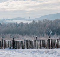 fileadmin/roha/images_galerie/orte_landschaft/Ainring/AINR-MOOR-WIN-0001-D-roha-Ainring-Moor-Winter-Schnee-Zaun-Ulrichshoegl.png