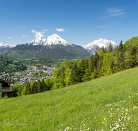 fileadmin/roha/images_galerie/orte_landschaft/Berchtesgaden/Markt-Berchtesgaden/BGD-0011-07-D-roha-Berchtesgaden-Watzmann-Blumenwiese-Fruehling.png