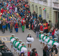 fileadmin/roha/images_galerie/brauchtum/Fasching/BR-FASCHI-2018-1555-02-D-roha-Brauchtum-Fasching-Zug-Teisendorf-Marktstrasse-Garde.png