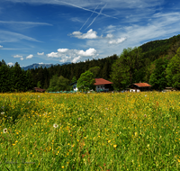 fileadmin/roha/images_galerie/orte_landschaft/Inzell/INZ-ADLG-0003-D-roha-Inzell-Adlgass.png