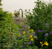 fileadmin/roha/images_galerie/Baum-natur-garten/Haus-Blumenschmuck-Deko/LANDA-GART-BRUN-0002-D-roha-Landart-Garten-Brunnen-Hof-Blumen.png