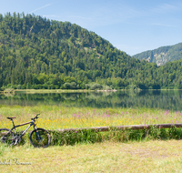 fileadmin/roha/images_galerie/orte_landschaft/Reit_im_Winkl/REIT-IM-WI-WEITS-0013-04-D-roha-Reit-im-Winkl-Weitsee-Herbst-Wasser-See-Mountainbike-Blumenwiese.png