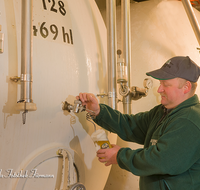 fileadmin/roha/images_galerie/arbeit_technik/Handwerk/WIENINGER-BRAU-ZWICKL-0002-D-roha-Wieninger-Brauerei-Lagerkeller-Zwickl-Bier.png