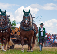 fileadmin/roha/images_galerie/brauchtum/Leonhardiritt/Holzhausen_01/Kaltblutfest/BR-PFRI-HOLZ-KALTBL-0072-D-roha-Brauchtum-Kaltblut-Pferd-Fest-Holzhausen-Holzfuhrwerk.png