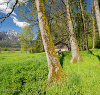 fileadmin/roha/images_galerie/orte_landschaft/Piding/LANDS-PID-HOCHST-0008-D-rohaLandschaft-Piding-Hochstaufen-Stadel.png