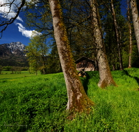 fileadmin/roha/images_galerie/orte_landschaft/Piding/LANDS-PID-HOCHST-0008-D-rohaLandschaft-Piding-Hochstaufen-Stadel.png