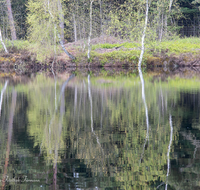 fileadmin/roha/images_galerie/orte_landschaft/Petting/Schoenramer-Moor/PE-SCHOENR-MOOR-0020-00-5-02-D-roha-Petting-Schoenramer-Moor-See-Fruehjahr-Wasser.png