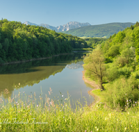 fileadmin/roha/images_galerie/orte_landschaft/Petting/PE-SURSP-0010-D-roha-Petting-Teisendorf-Surspeicher-Wasser-Blumenwiese-Zwiesel.png