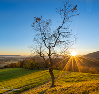 fileadmin/roha/images_galerie/orte_landschaft/Teisendorf/Neukirchen/SO-AU-HOCHH-3-0708-01-D-roha-Sonnenaufgang-Hochhorn-Neukirchen-Rupertiwinkel.png