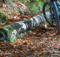 fileadmin/roha/images_galerie/orte_landschaft/Schneizlreuth/SPO-E-BIKE-SCHN-WEISS-SOL-0002-D-roha-Sport-E-Bike-Schneizlreuth-Weissbach-Soleleitung-Weg.png