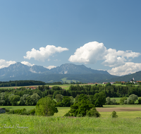 fileadmin/roha/images_galerie/orte_landschaft/Teisendorf/Weildorf/TEI-WEI-PAN-0018-D-roha-Teisendorf-Weildorf-Saaldorf-Schign.png