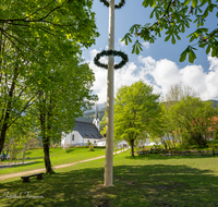 fileadmin/roha/images_galerie/orte_landschaft/Anger/Aufham/AUF-0012-11-D-roha-Aufham-Anger-Dorfplatz-Maibaum-Kirche.png