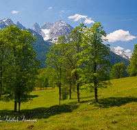 fileadmin/roha/images_galerie/orte_landschaft/Berchtesgaden/Ramsau/BGD-RA-LAN-0037-D-roha-Berchtesgaden-Ramsau-Landschaft-Blaueis-Hochkalter-Almwiese.png