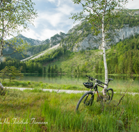 fileadmin/roha/Interessantes-in-Kurzform/INZ-FRILL-0026-D-roha-Inzell-Frillensee-Zwiesel-Biotop-Naturschutz-Wasser-See-Steg-Mountainbike-Fahrrad.png