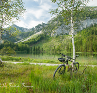 fileadmin/roha/images_galerie/orte_landschaft/Inzell/INZ-FRILL-0026-D-roha-Inzell-Frillensee-Zwiesel-Biotop-Naturschutz-Wasser-See-Steg-Mountainbike-Fahrrad.png