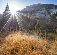 fileadmin/roha/images_galerie/stimmung-Sonne/INZ-FRILL-0034-03-D-roha-Frillensee-Sonne-Stimmung-Biotop-Herbst.png