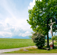 fileadmin/roha/images_galerie/kirche_religion/Saaldorf/KKKM-SAALD-KEM-0013-D-roha-Wegkreuz-Saaldorf-Kemating-Feldweg-Flieder-Fruehling.png