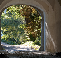 fileadmin/roha/images_galerie/Fenster-Tueren/LANDA-TOR-0004-D-roha-Landart-Tor-Bogen-Hoeglwoerth-Anger.png