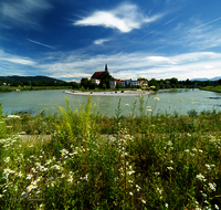 fileadmin/roha/images_galerie/orte_landschaft/Laufen/LAUF-SALZACH-0042-D-roha-Laufen-Salzach-Schleife-Stiftskirche-Blumenwiese.png