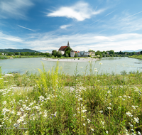 fileadmin/roha/images_galerie/orte_landschaft/Laufen/LAUF-SALZACH-0042-D-roha-Laufen-Salzach-Schleife-Stiftskirche-Blumenwiese.png