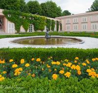 fileadmin/roha/images_galerie/orte_landschaft/Salzburg/Mirabell-Zwergerlgarten/SA-MIRA-GART-BRU-0008-D-roha-Salzburg-Schloss-Mirabell-Garten-Brunnen-Wasser.png