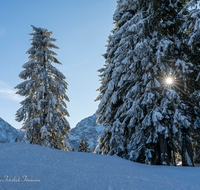 fileadmin/roha/images_galerie/orte_landschaft/Berchtesgaden/Rossfeld-Goell/STIM-BGD-ROSSF-WI-0008-D-roha-Stimmung-Winter-Rossfeld-Berchtesgaden-Sonne.png