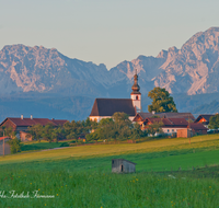 fileadmin/roha/images_galerie/orte_landschaft/Teisendorf/TEI-WI-0009-D-roha-Teisendorf-Wimmern-Oed-Hochstaufen-Zwiesel-Landwirtschaft.png