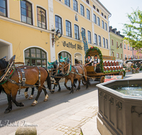 fileadmin/roha/images_galerie/orte_landschaft/Teisendorf/Teisendorf-Markt/WIENINGER-BRAU-GESPANN-0003-01-D-roha-Teisendorf-Wieninger-Brauerei-Gespann-Bier-Fass-Pferd-Marktstrasse.png