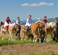 fileadmin/roha/images_galerie/brauchtum/Leonhardiritt/Holzhausen_01/BR-PFRI-HOLZ-0085-D-roha-Brauchtum-Pferdeumritt-Holzhausen-Teisendorf-Leonhardiritt-Kaplan-Ministranten.png