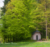 fileadmin/roha/images_galerie/kirche_religion/Teisendorf/KKKM-TEIS-BR-KL-0010-D-roha--Kapelle-Bruder-Klaus-Teisendorf-Wald-Weg-Bank.png