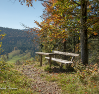 fileadmin/roha/images_galerie/Zaun-Bank/LANDA-BANK-WEISSB-0004-D-roha-Landart-Bank-Weissbach-Himmelsleiter-Herbst.png