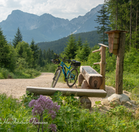 fileadmin/roha/images_galerie/Freizeit-Sport/E-Bike/SPO-E-BIKE-TEISB-OTTOB-0002-D-roha-Sport-E-Bike-Otto-Brunn-Teisenberg-Hochstaufen-Zwiesel.png