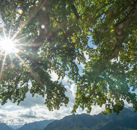 fileadmin/roha/images_galerie/stimmung-Sonne/STIM-ANG-HOEG-0001-D-roha-Stimmung-Anger-Hoegl-Sonne-Landschaft-Hochstaufen-Zwiesel.png