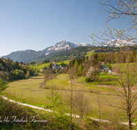 fileadmin/roha/images_galerie/orte_landschaft/Anger/Hoeglwoerth/AN-HOE-PAN-0135-D-roha-Anger-Hoelgwoerth-Fruehling-Hochstaufen-Zwiesel-Blumenwiese.png