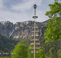 fileadmin/roha/images_galerie/orte_landschaft/Bayerisch-Gmain/BAD-REI-BAYER-0009-1-D-roha-Bad-Reichenhall-Bayerisch-Gmain-Maibaum-Predigtstuhl-Fruehling.png