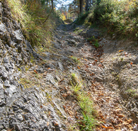 fileadmin/roha/images_galerie/wege/BAD-REI-SALZSAEUM-0001-02-D-roha-Bad-Reichenhall-Jochberg-Weg-Salz-Saeumer-Wagen-Spur.png