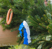 fileadmin/roha/images_galerie/brauchtum/Maibaum/Anger-Hoeglwoerth/BR-MAIB-ANG-2017-1333-01-D-roha-Brauchtum-Maibaum-Anger-Trachtendirndl-Kranz-Wiener-Wuerstl.png