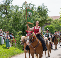 fileadmin/roha/images_galerie/brauchtum/Leonhardiritt/Holzhausen_01/Holzhausen-Ritt-2019/BR-PFRI-HOLZ-2019-1035-0-04-D-roha-Brauchtum-Pferdeumritt-Leonhardiritt-Holzhausen-Teisendorf-Pferd-Gespann.png