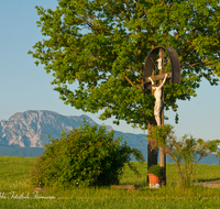 fileadmin/roha/images_galerie/kirche_religion/Saaldorf/KKKM-SAALD-KEM-0018-D-roha-Wegkreuz-Saaldorf-Kemating-Feldweg.png