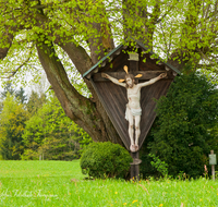 fileadmin/roha/images_galerie/kirche_religion/Surberg/KKKM-SURB-0003-1-D-roha-Kapelle-Surberg-Lauter-Fruehling-Linde.png