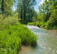 fileadmin/roha/images_galerie/wasser/LANDS-SAAL-SUR-MITTG-0007-D-roha-Landschaft-Saaldorf-Surheim-Mittergraben-Wasser.png