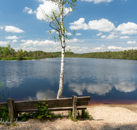 fileadmin/roha/images_galerie/orte_landschaft/Petting/Schoenramer-Moor/PE-SCHOENR-MOOR-0040-01-D-roha-Petting-Schoenramer-Moor-Moorsee-Wasser-See-Heide-Bank.png