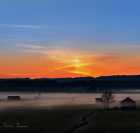 fileadmin/roha/images_galerie/stimmung-Sonne/Sonnenaufgang/SO-AU-HAARM-0030-0457-D-roha-Sonne-Sonnenaufgang-Haarmoos-Nebel.png